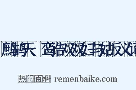 鹧鸪天·鸾诰双双妇与姑反义词是什么意思的图片